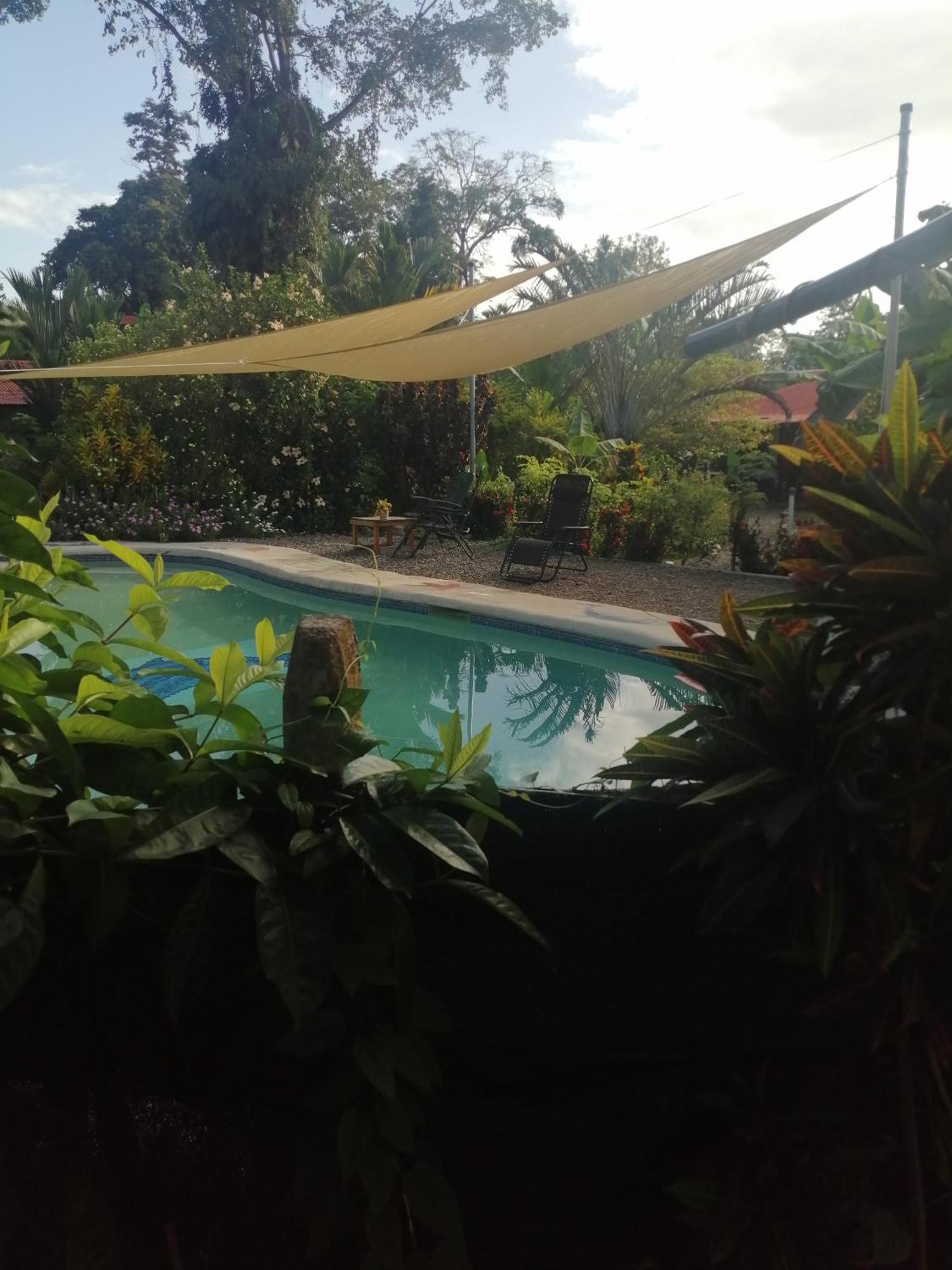 Cabinas Los Tucanes Cahuita Værelse billede