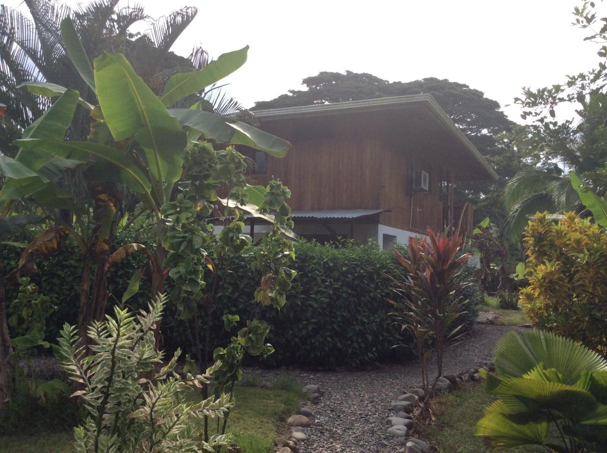 Cabinas Los Tucanes Cahuita Værelse billede