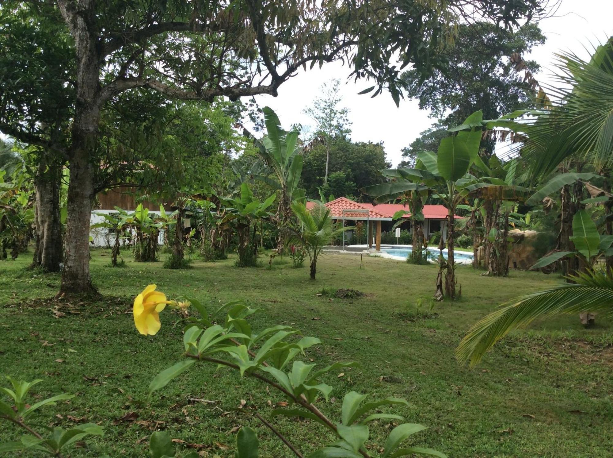 Cabinas Los Tucanes Cahuita Eksteriør billede
