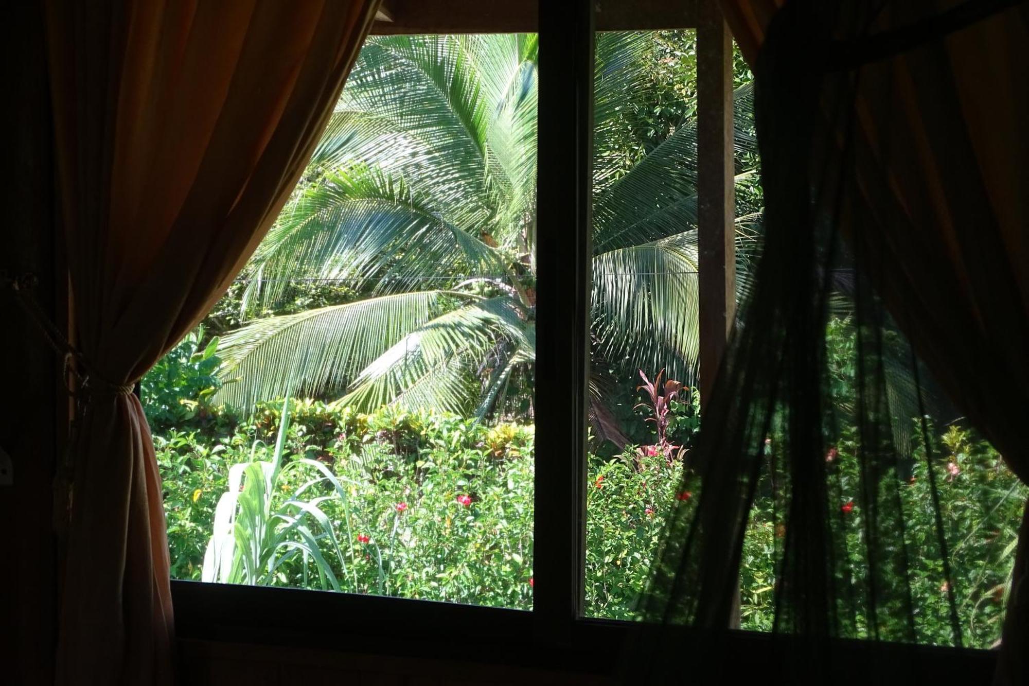 Cabinas Los Tucanes Cahuita Eksteriør billede