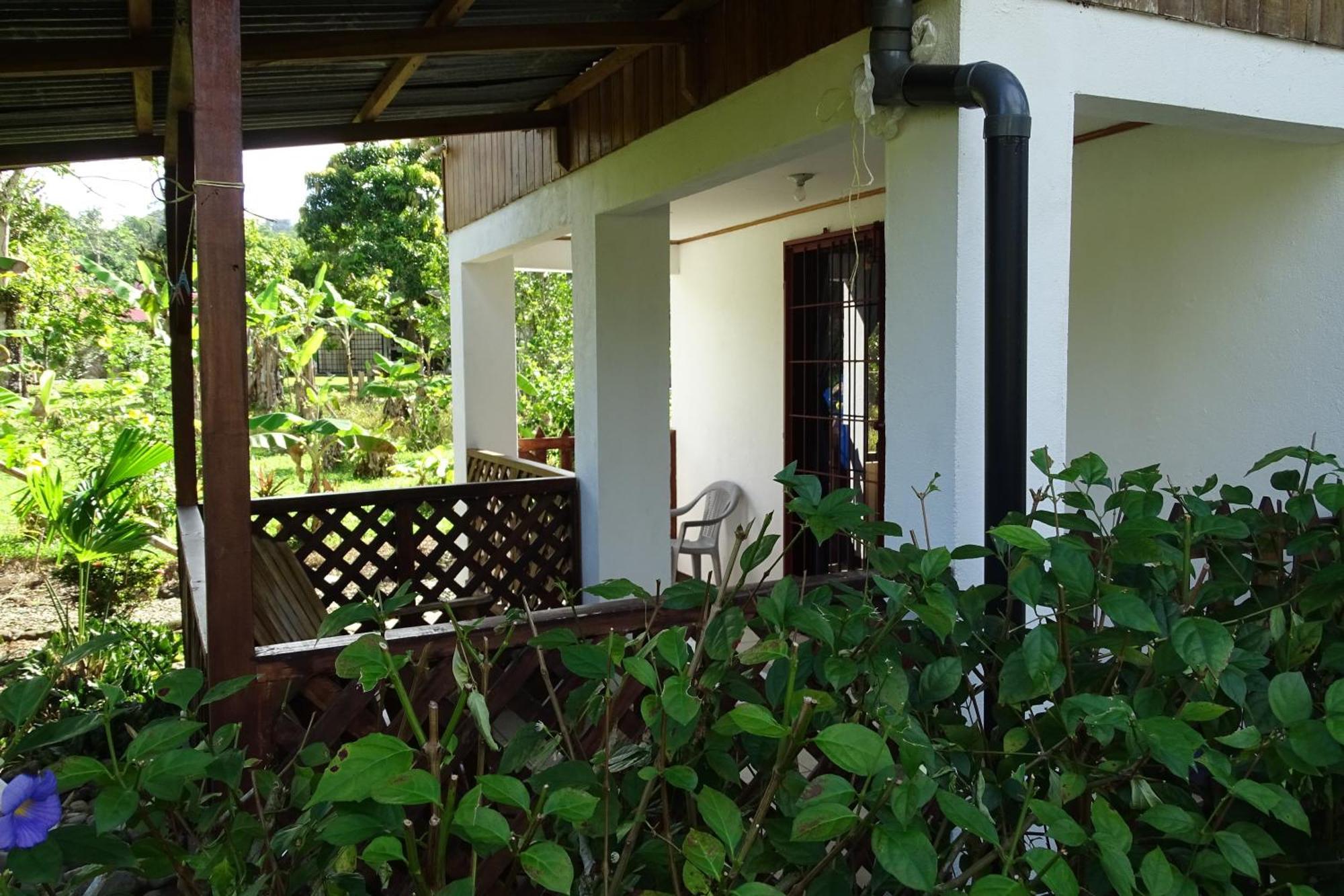 Cabinas Los Tucanes Cahuita Eksteriør billede