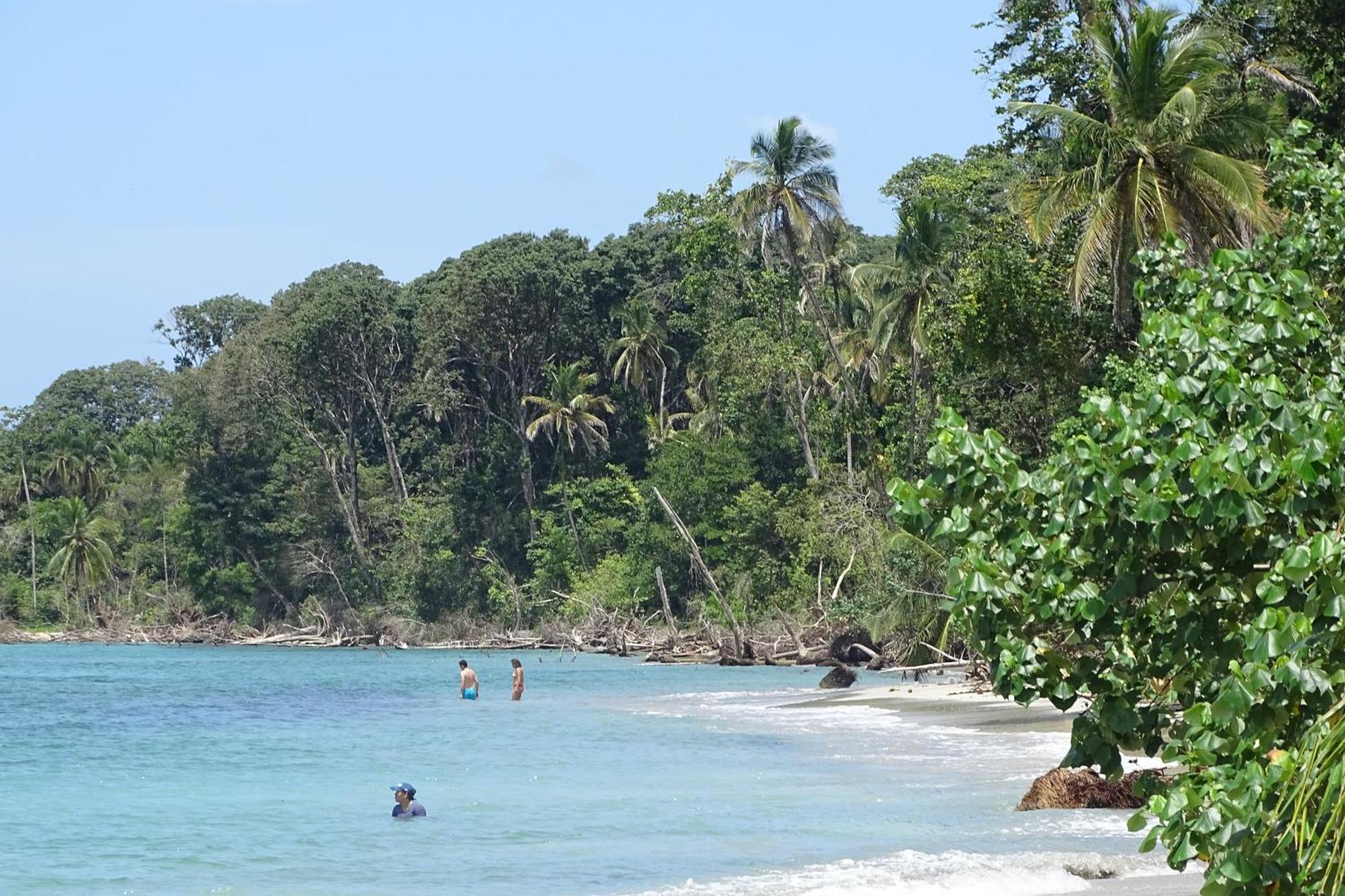 Cabinas Los Tucanes Cahuita Eksteriør billede