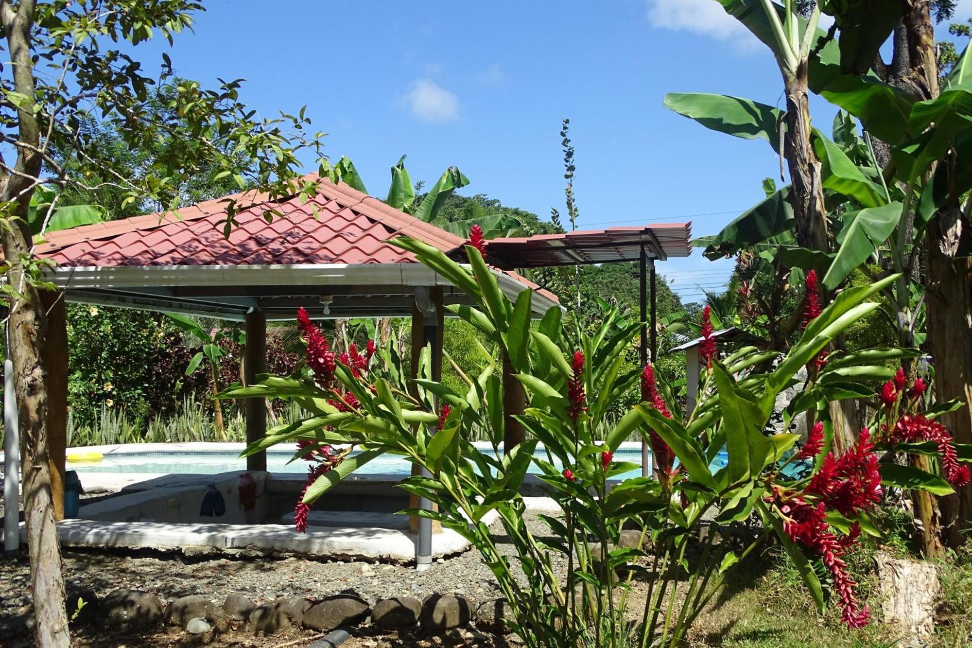 Cabinas Los Tucanes Cahuita Eksteriør billede