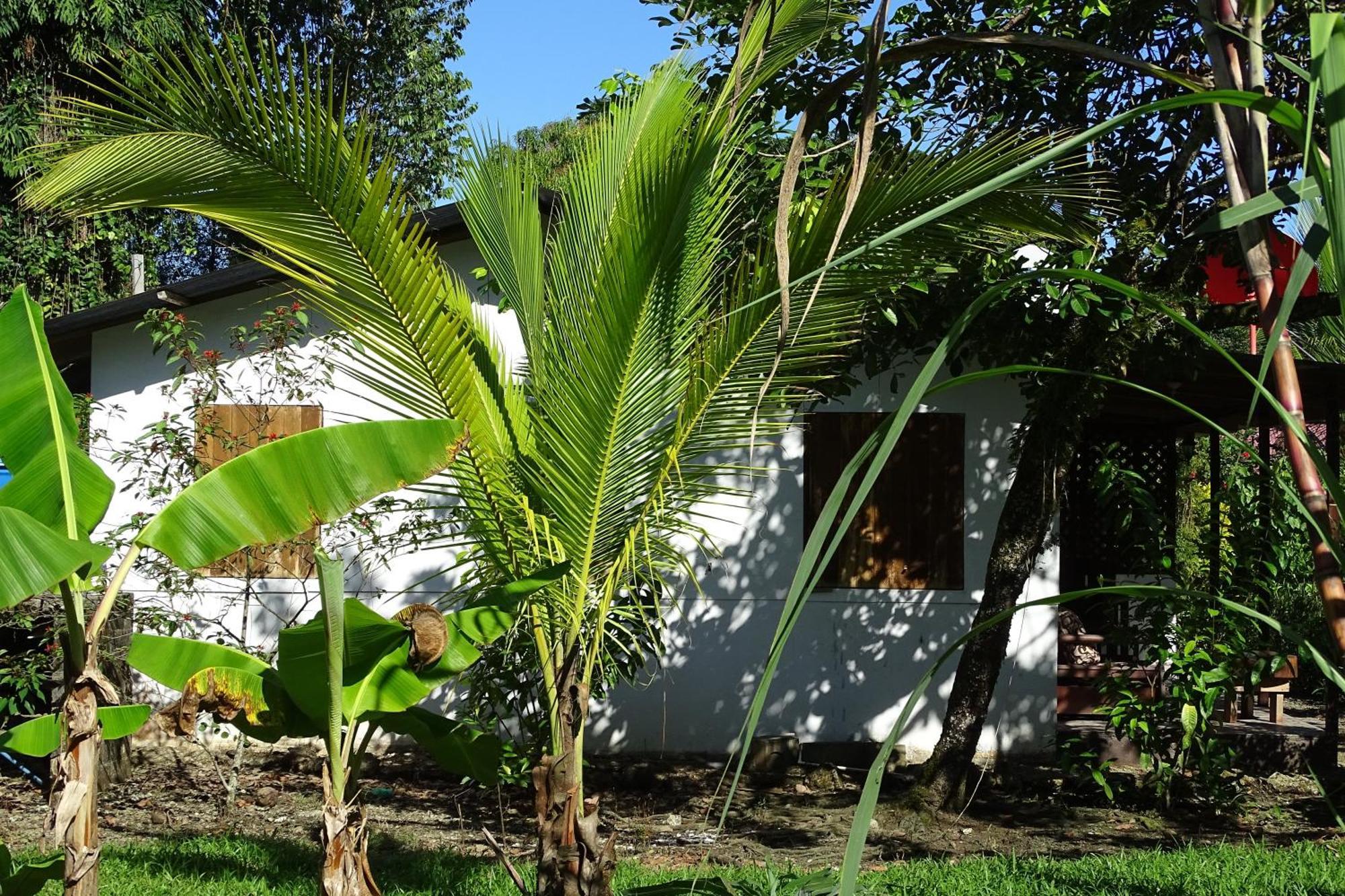 Cabinas Los Tucanes Cahuita Eksteriør billede