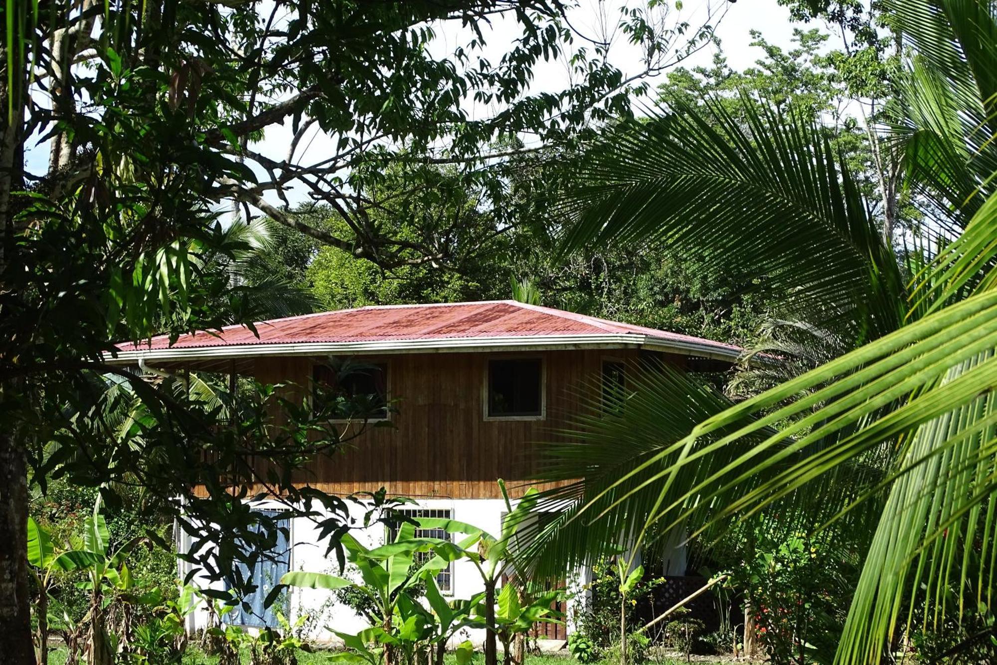 Cabinas Los Tucanes Cahuita Eksteriør billede