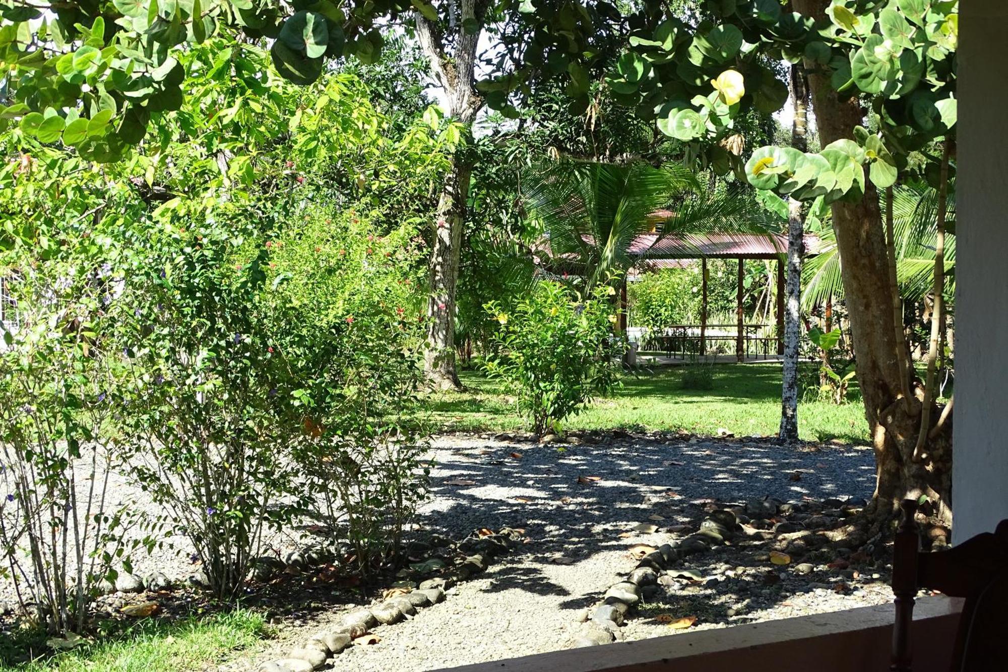 Cabinas Los Tucanes Cahuita Værelse billede