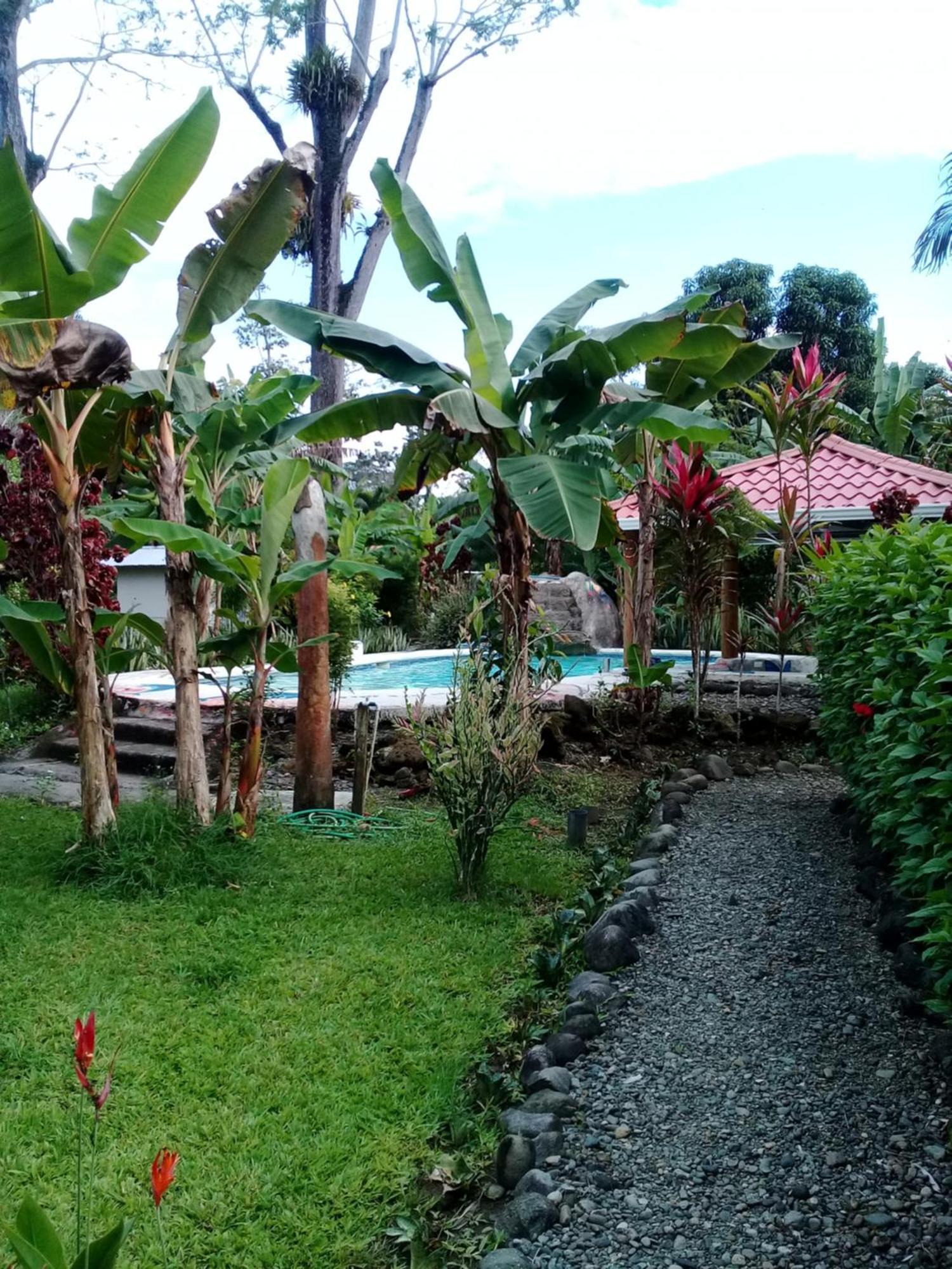 Cabinas Los Tucanes Cahuita Eksteriør billede